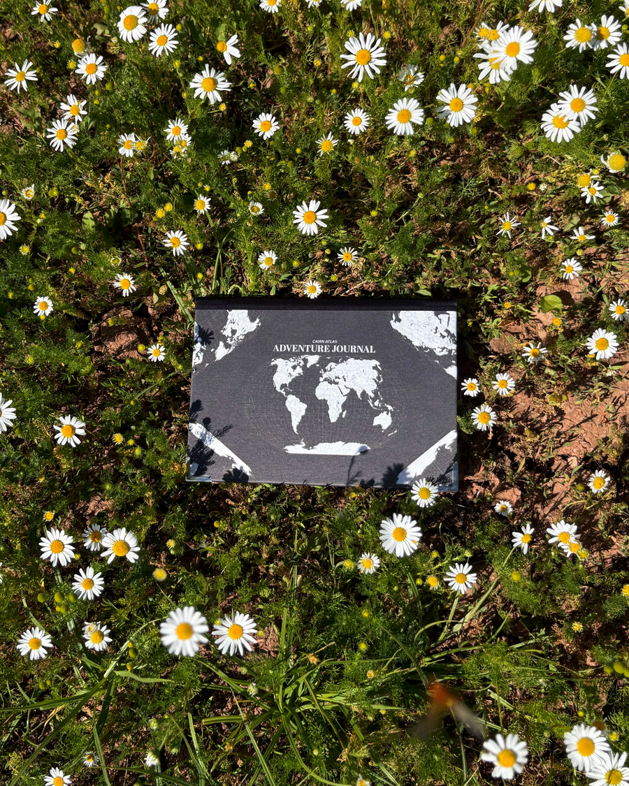 A black adventure journal with a white world map cover lies on a bed of green grass and white daisies.